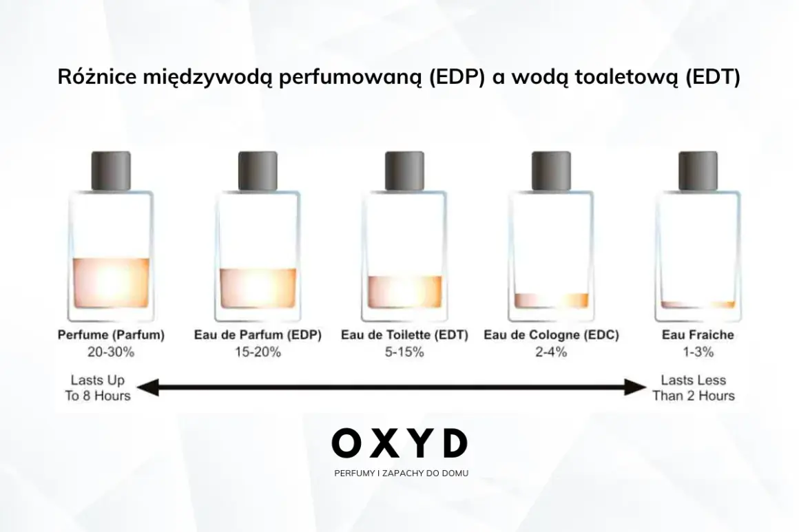 Porównanie trwałości perfum: od Parfum (20-30% olejku, do 8h) po Eau Fraiche (1-3% olejku, poniżej 2h).