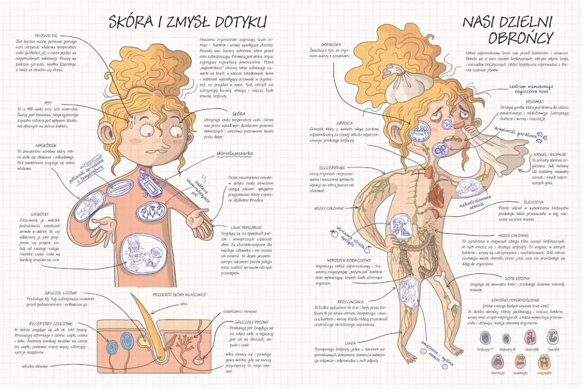 Ilustracja przedstawia ludzką fizjologię, skupiając się na skórze i układzie odpornościowym jako obrońcach organizmu.