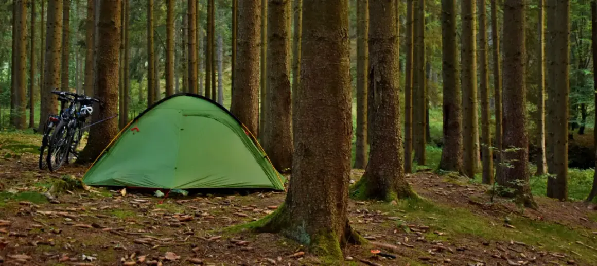 Zielony namiot i rowery czekają na nocne spanie w lesie.