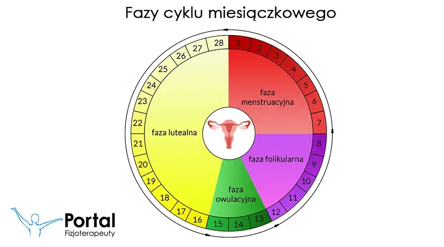 Miesiączka co ile dni? Normy, nieregularności i kiedy do ginekologa