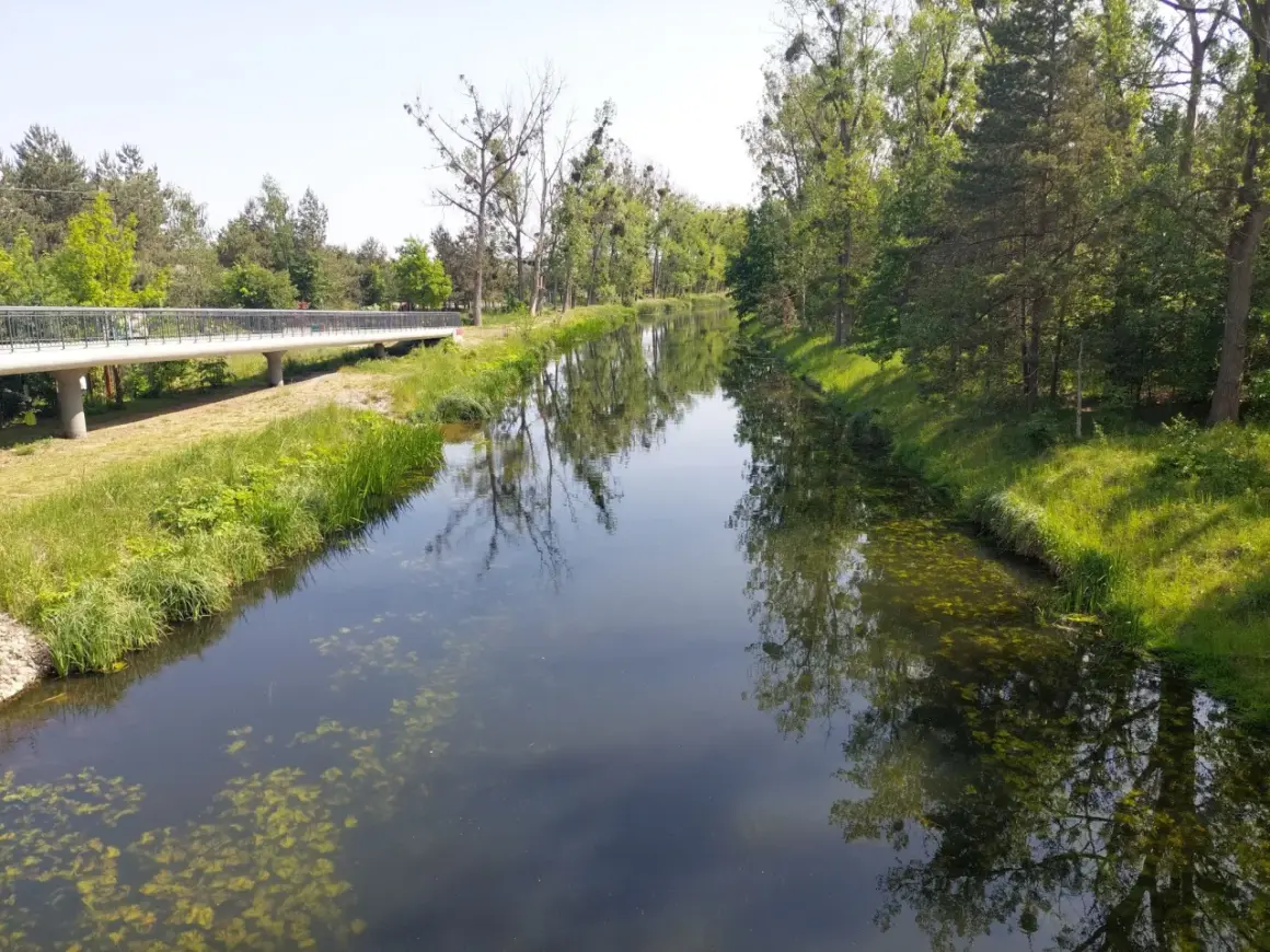 Piękny dzień na odkrywanie tras rowerowych w Bydgoszczy. Mostek nad kanałem, otoczony zielenią, zaprasza do przejażdżki.