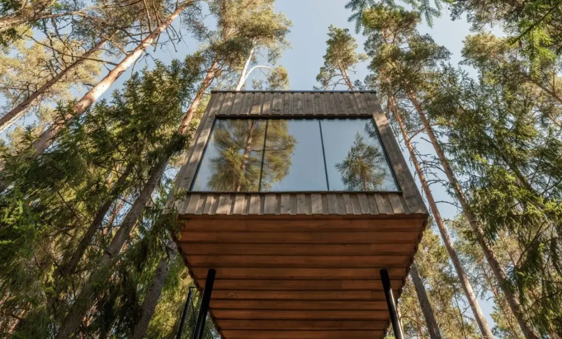 Bo i koja i skogen hotell, en modern träkabin med stora fönster som speglar tallskogen.