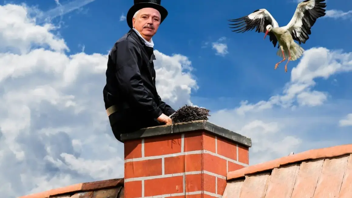 Kominiarz na dachu z miotłą, bocian w locie. PZU ubezpieczenie domu a przegląd komina to podstawa bezpieczeństwa.