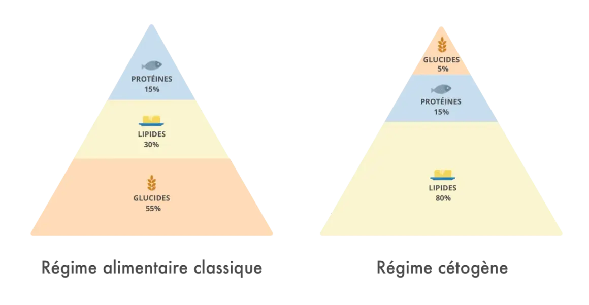 Comparaison des pyramides alimentaires : classique (55% glucides) vs cétogène (80% lipides, 5% glucides). Un régime sans sucre est plus proche du cétogène.