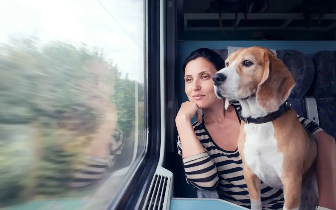 Une femme et son chien beagle regardent par la fenêtre d'un train. La question "peut on prendre le train avec un chien" se pose, et cette image montre que c'est possible.