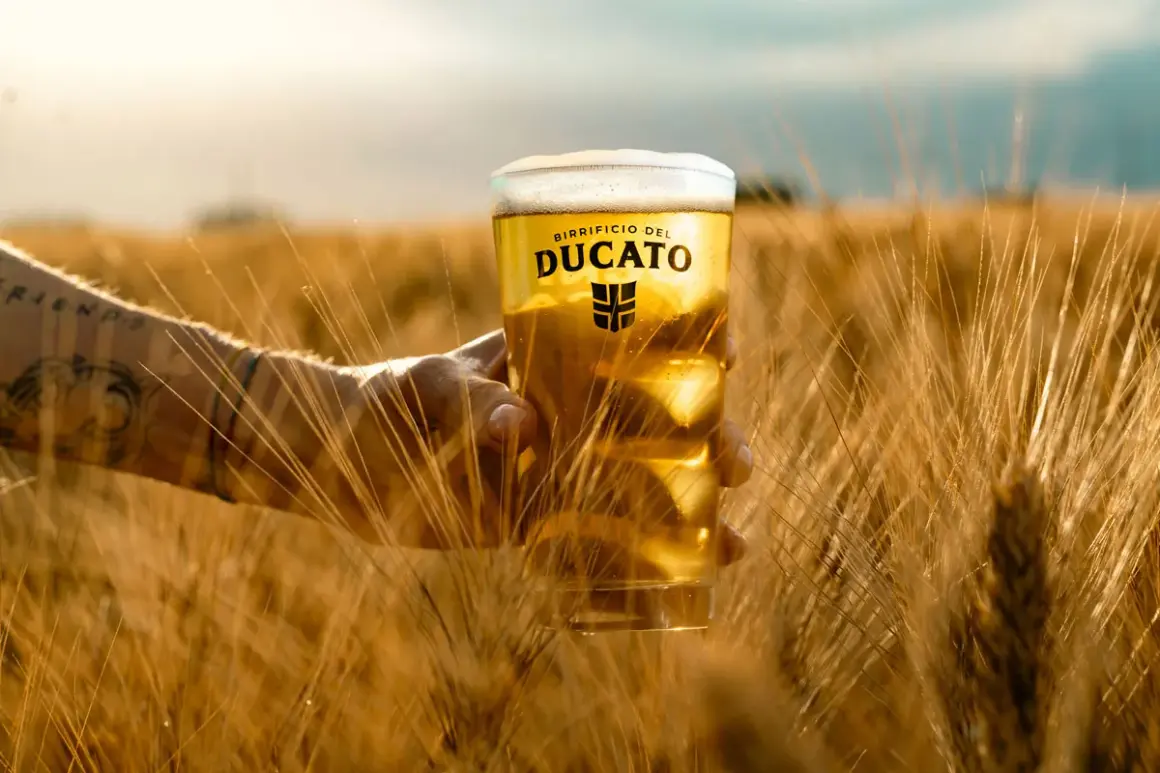 Un bicchiere di birra bionda del Birrificio del Ducato, tra spighe dorate. Un assaggio dei diversi tipi di birra, con la luce del tramonto.