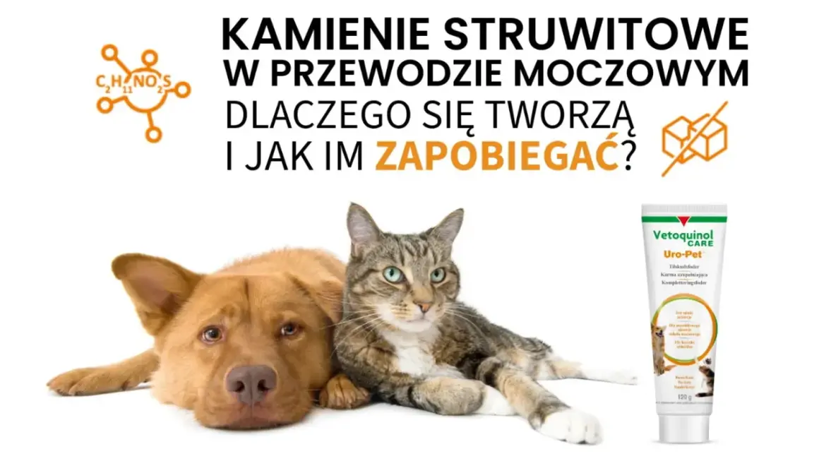 Pies i kot obok tubki karmy Uro-Pet. Temat: kamienie w pęcherzu u zwierząt i jak im zapobiegać.