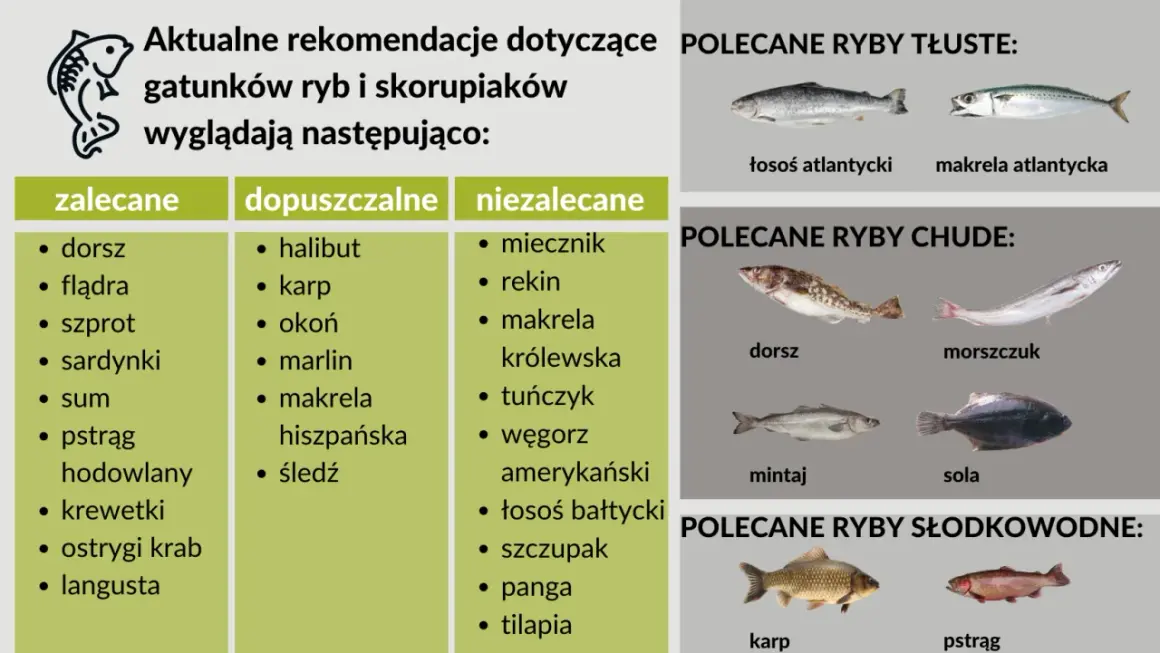 Jaka ryba dla dziecka jest bezpieczna i zdrowa? Sprawdź najlepsze wybory