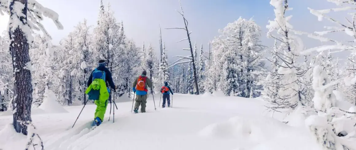 Trzy osoby w kolorowych plecakach przemierzają zasypany śniegiem las, ciesząc się ski touringiem.