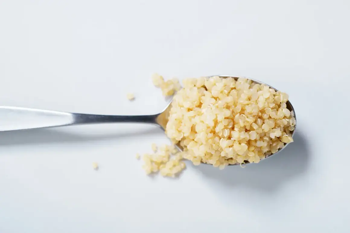 Ein Löffel voll gekochter Quinoa, bereit für eine gesunde Mahlzeit.