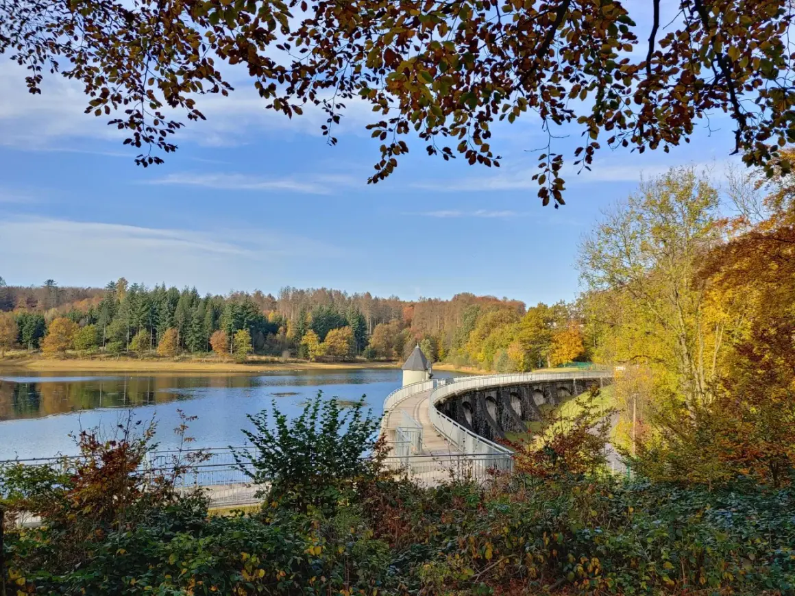 Herbstlicher Spaziergang auf dem panzertalsperre rundweg. Bunte Blätter und ein klarer Himmel über dem Stausee.
