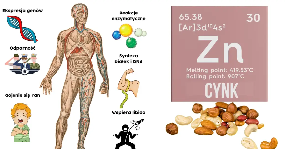 Jak zażywać cynk, aby uniknąć skutków ubocznych i poprawić zdrowie