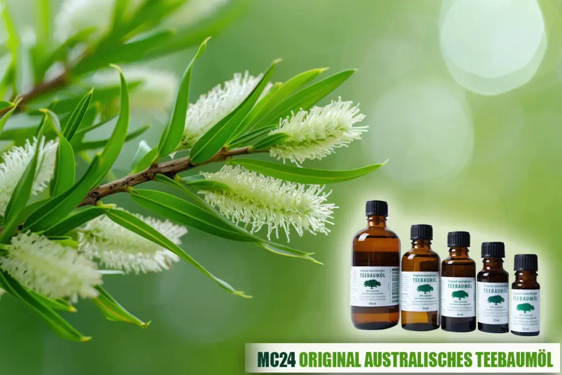 Australisches Teebaumöl in Flaschen, neben einem Zweig mit weißen Blüten. Die Wirkung von Teebaumöl auf die Psyche ist vielfältig.