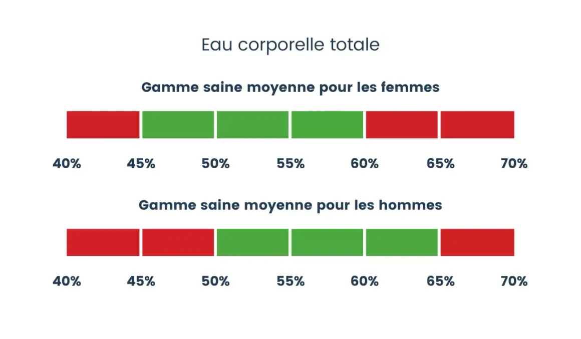 Barres illustrant le pourcentage d'eau dans le corps : une gamme saine pour les femmes (45-60%) et pour les hommes (40-65%).