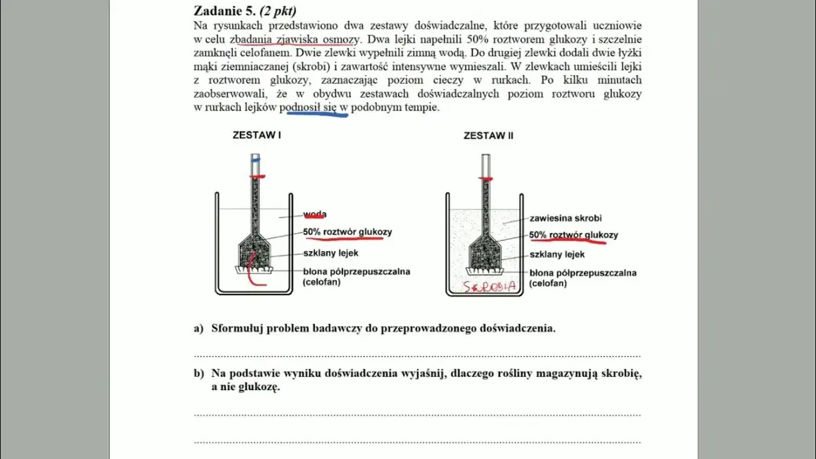Zjawisko osmozy: Jak działa i dlaczego jest kluczowe w biologii?