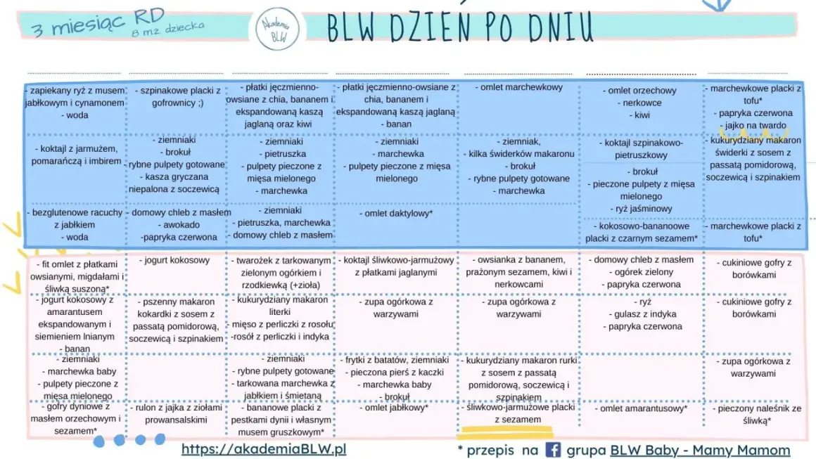 Jadłospis 10 miesięcznego dziecka: zapiekany ryż, placki szpinakowe, pulpety rybne, omlety, zupy warzywne i inne zdrowe propozycje.