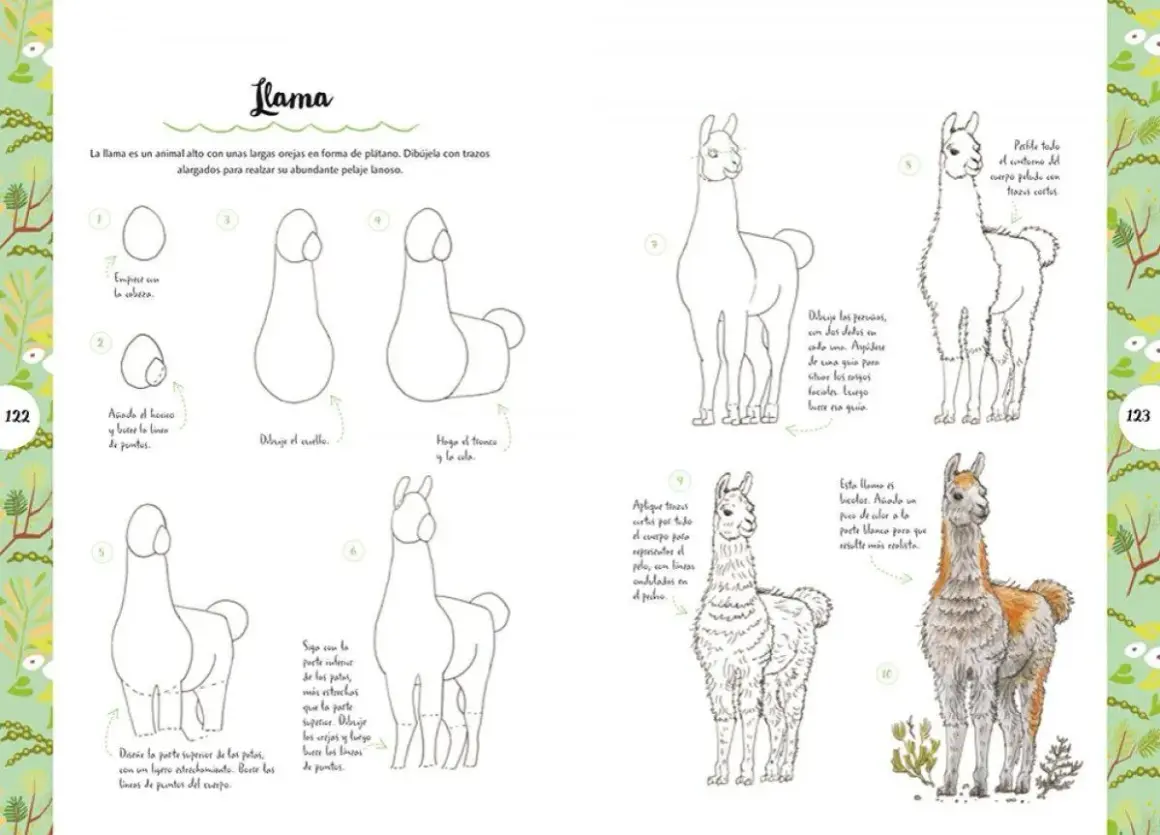 Instrucciones paso a paso para dibujar llamas, ideales como animales para dibujar fáciles.