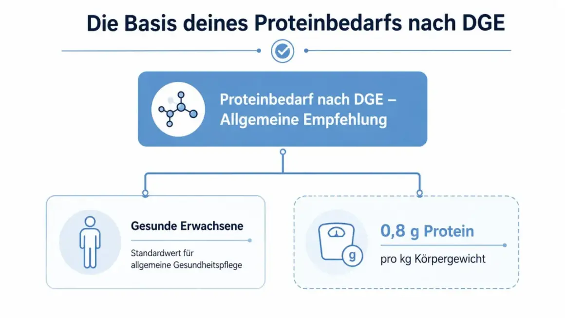 Empfehlung der DGE: 0,8 g Protein pro kg Körpergewicht für gesunde Erwachsene.