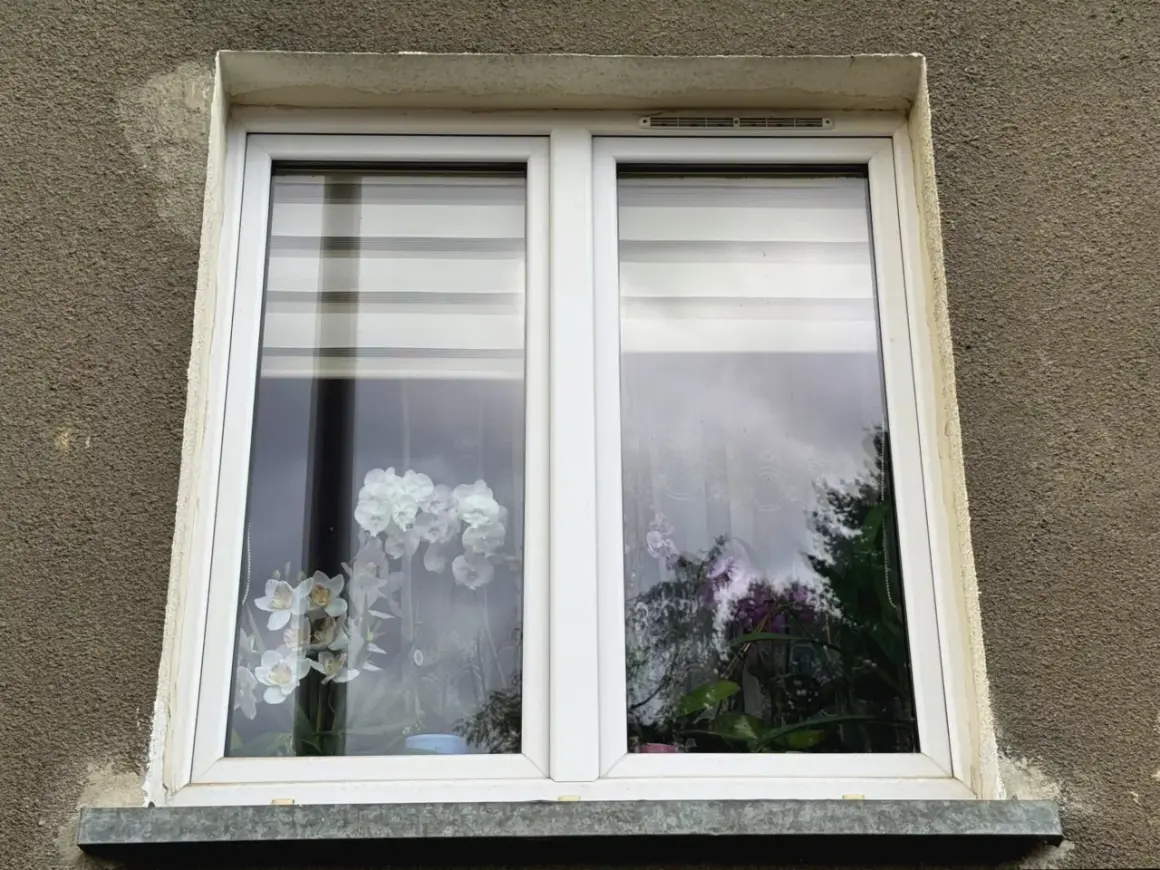 Nowe okna z roletami i kwiatami na parapecie. Warto pomyśleć o dofinansowanie do wymiany okien, by poprawić komfort i estetykę domu.