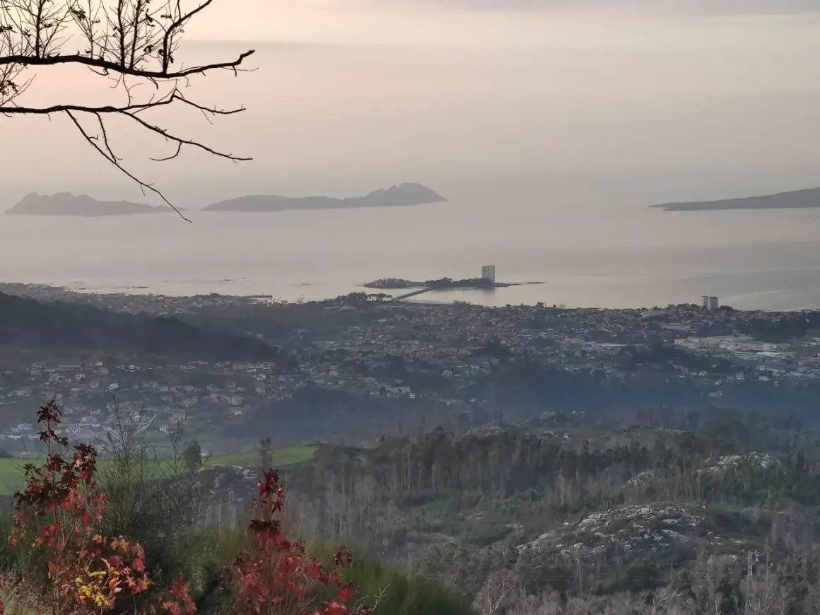 Vista panorámica desde el monte alba: islas Cíes, ciudad costera y bosques.