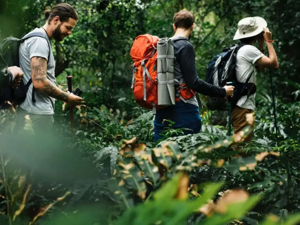 Drei thru hiker wandern durch einen dichten, grünen Dschungel. Einer hält eine Kamera, ein anderer schaut sich um.