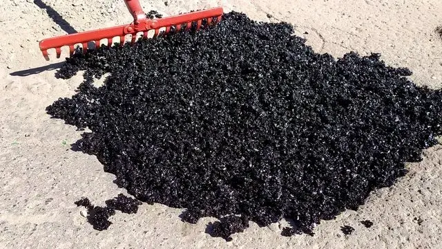 Ile schnie asfalt na zimno? Sprawdź, kiedy możesz jeździć po naprawie