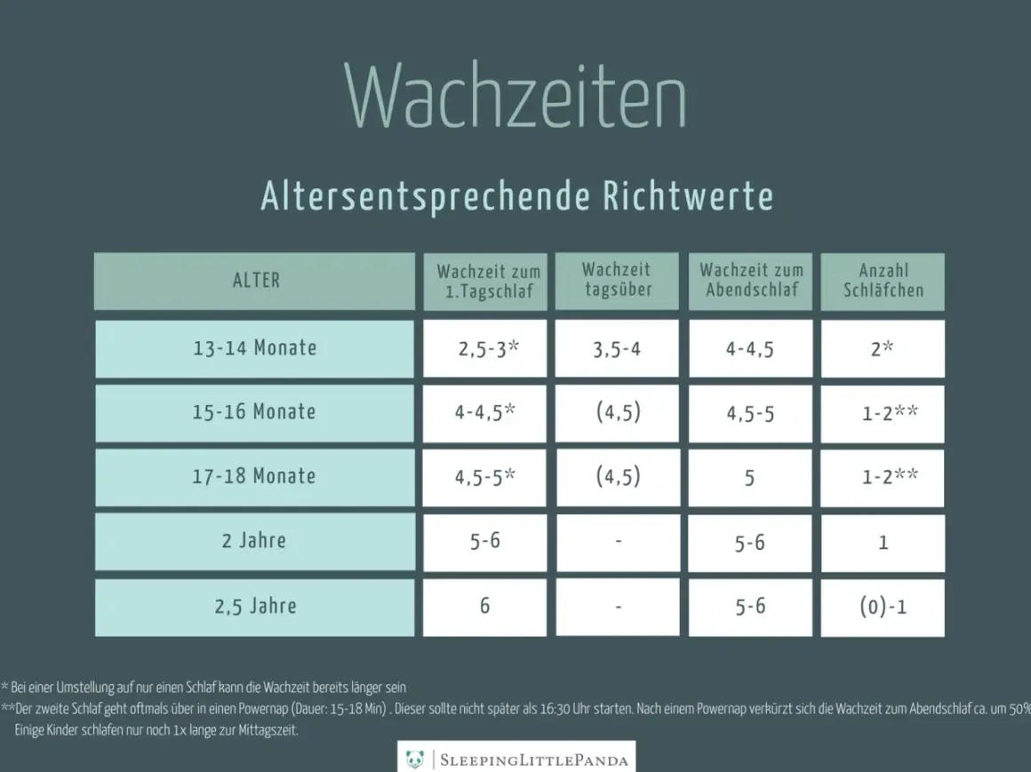 Tabelle zeigt altersentsprechende Wachzeiten für Babys und Kleinkinder, von 13 Monaten bis 2,5 Jahren.