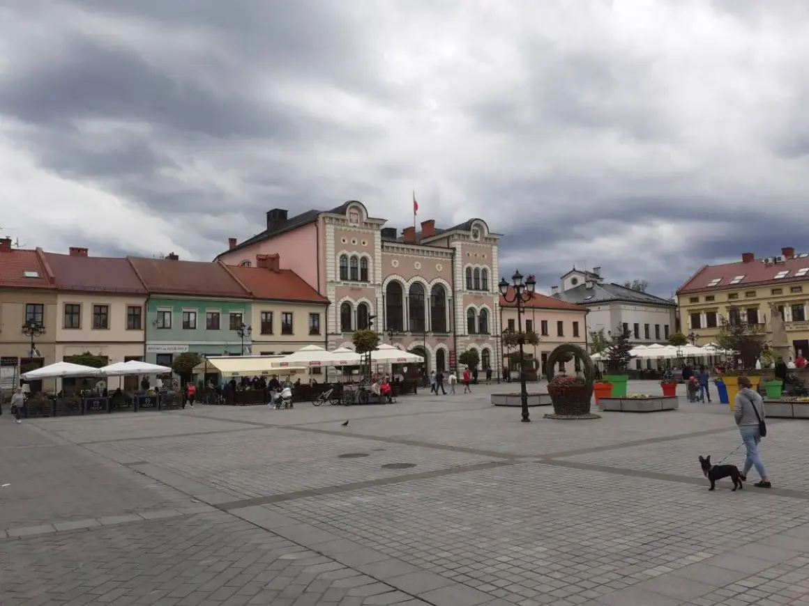 Spacer po żywiec rynek z psem. W tle kamienice i kawiarniane ogródki.