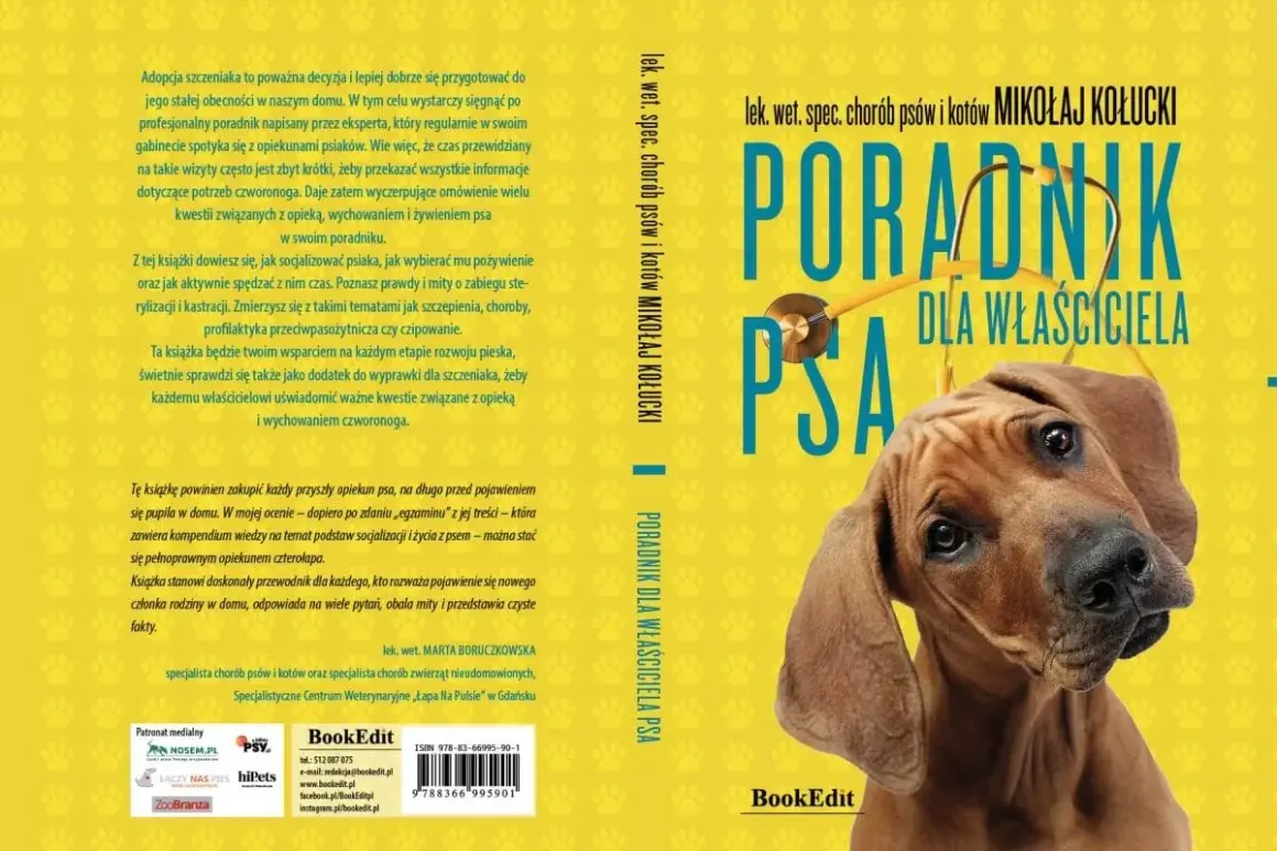 Jak sprawić, by psy się polubiły? Poradnik dla właściciela psa pomoże w socjalizacji i wychowaniu czworonoga.