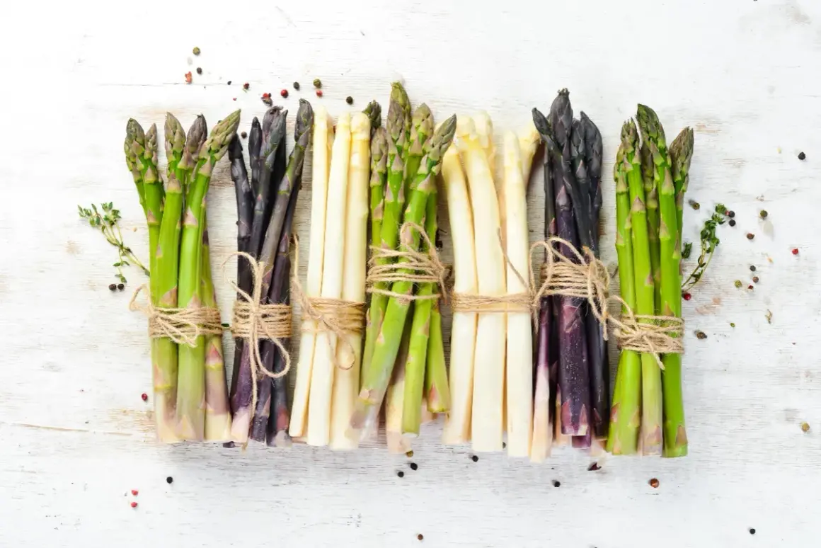 Mazzi di asparagi verdi, bianchi e viola legati con spago. Ideali per scoprire il giusto tempo cottura asparagi.