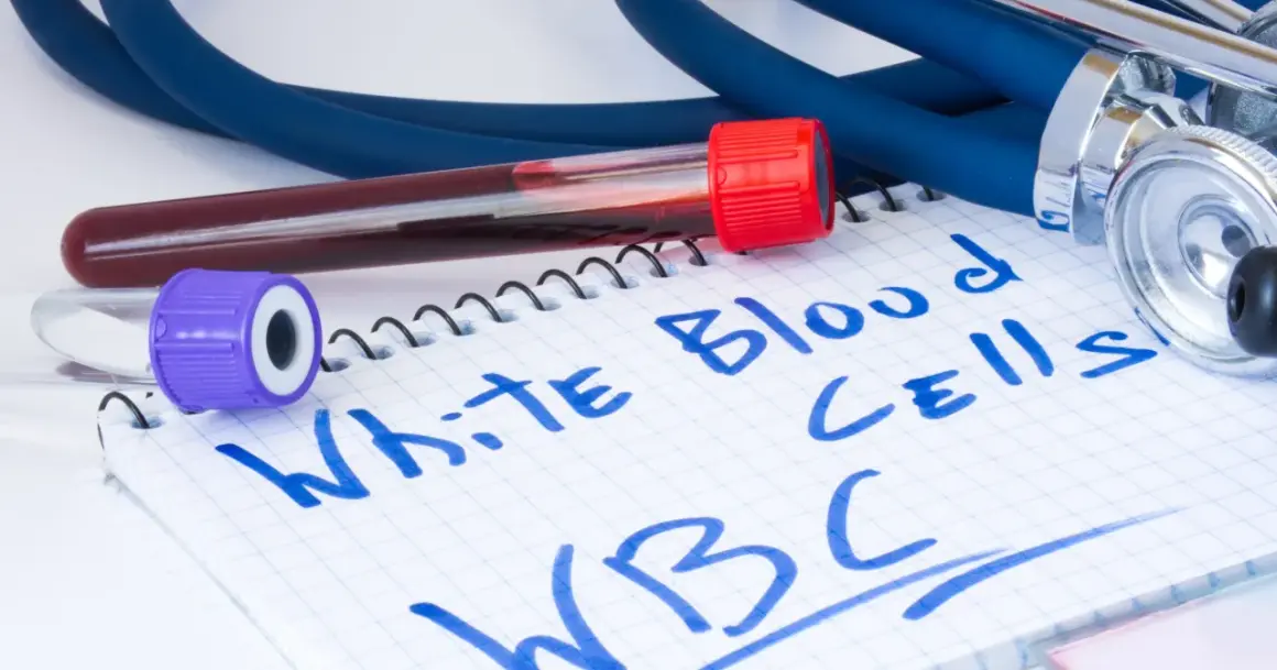Wyniki badań krwi, probówki i stetoskop. Na notatniku napisano "White Blood Cells WBC". Zastanawiasz się, jaki poziom leukocytów jest niebezpieczny?