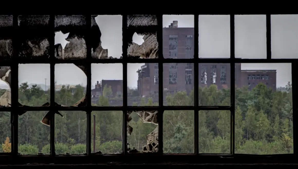 Through a broken window pane, a scene of urbex photography unfolds: decaying brick buildings stand amidst overgrown trees, a testament to time's passage.