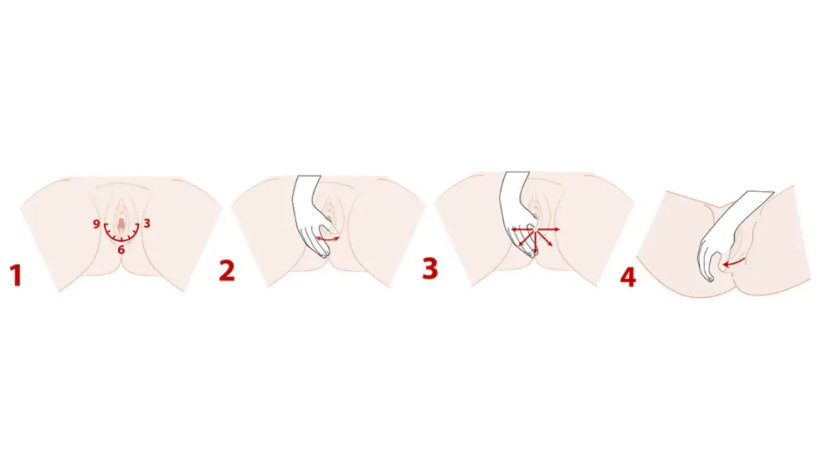 Illustrations montrant des exercices pour le périnée femme enceinte : étirement, massage et renforcement.