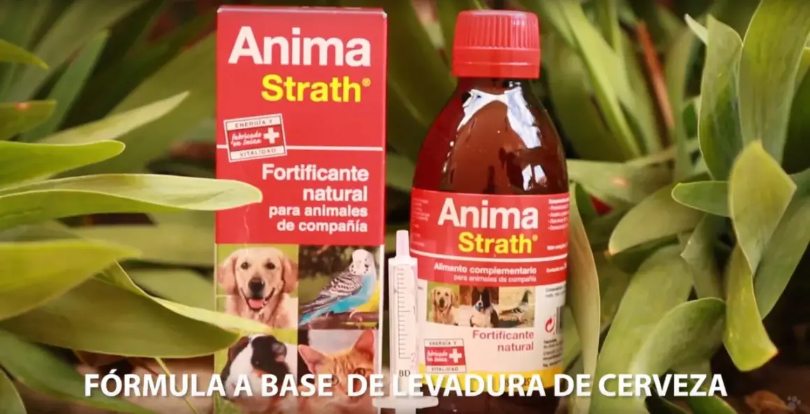 Anima Strath, fortificante natural para animales de compañía, sirve para dar energía y vitalidad.