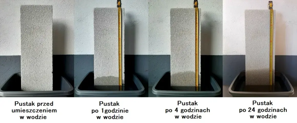 Zjawisko włoskowatości: jak działa kapilarność i jej zastosowanie w naturze