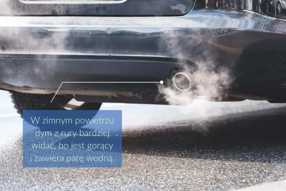 Dym z rury wydechowej samochodu w zimnym powietrzu. Zastanawiasz się, ile można stać na włączonym silniku?