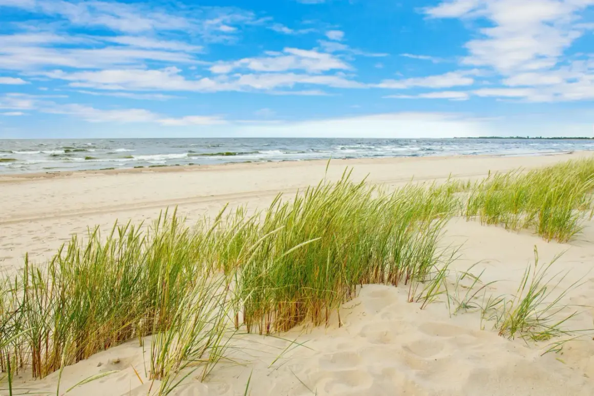 Piękna, piaszczysta sobieszewo plaża z zieloną trawą na wydmach i spokojnym morzem pod błękitnym niebem.