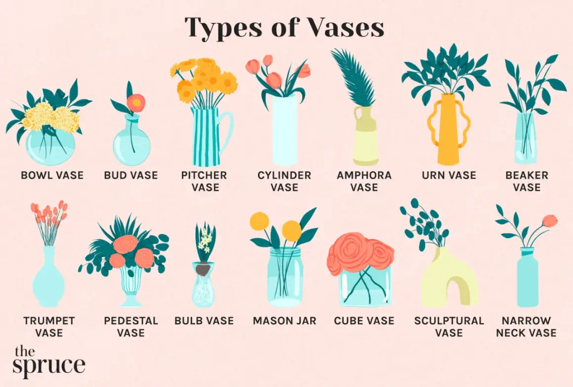 Illustration showcasing various vase shapes, from classic bud and bowl vases to modern sculptural and narrow neck vase styles.