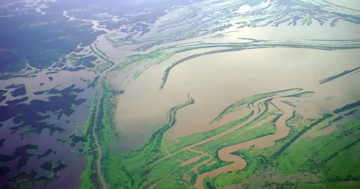 Rozległa delta rzeki, najdłuższa rzeka Azji, z licznymi odnogami i zielonymi wyspami porośniętymi roślinnością.