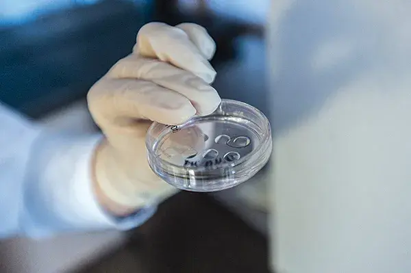 Czy in vitro to grzech? Moralność i kontrowersje w Kościele katolickim