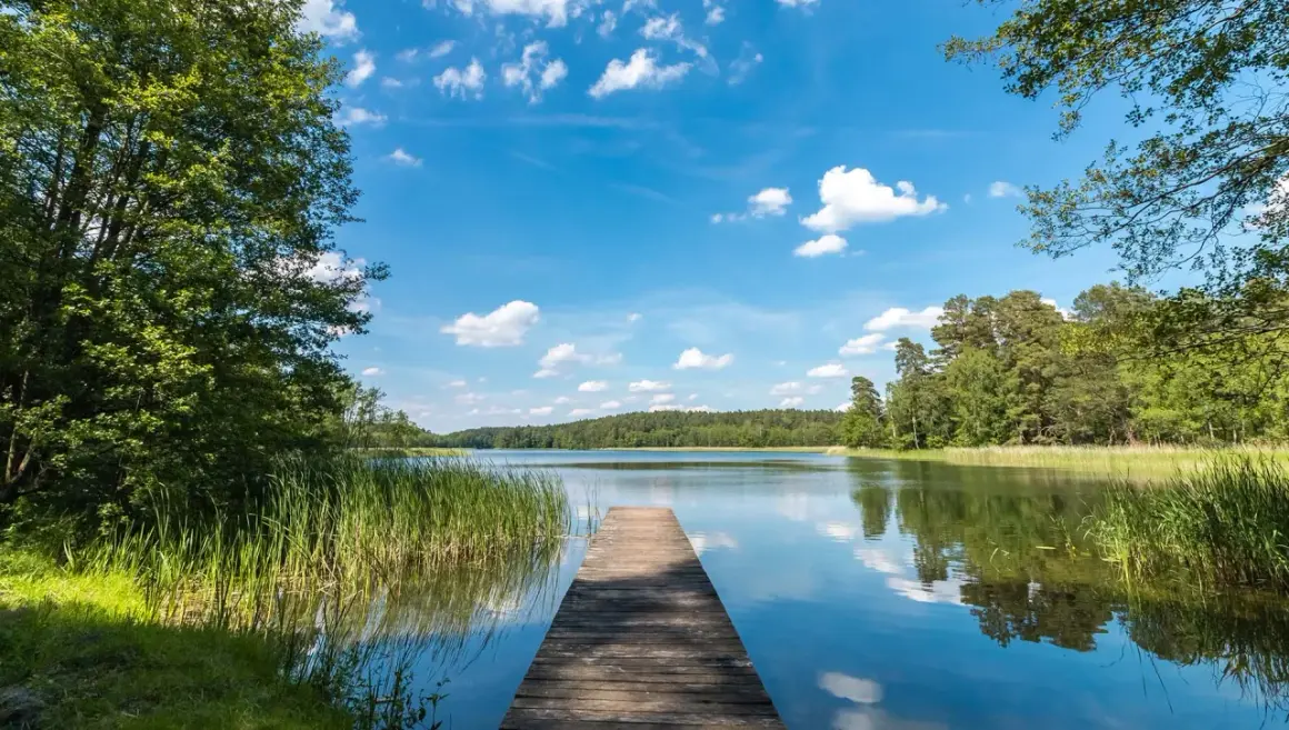 Drewniany pomost prowadzi do spokojnego jeziora w Drawieńskim Parku Narodowym. Otoczone zielenią, z błękitnym niebem i białymi chmurami.