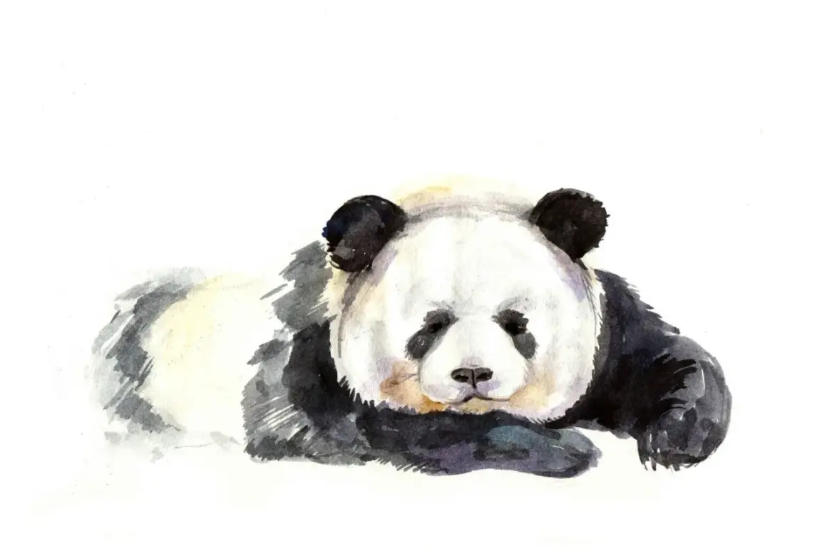 Akwarelowa panda, symbol spokoju i wytrwałości. Tatuaż panda znaczenie to harmonia i równowaga.
