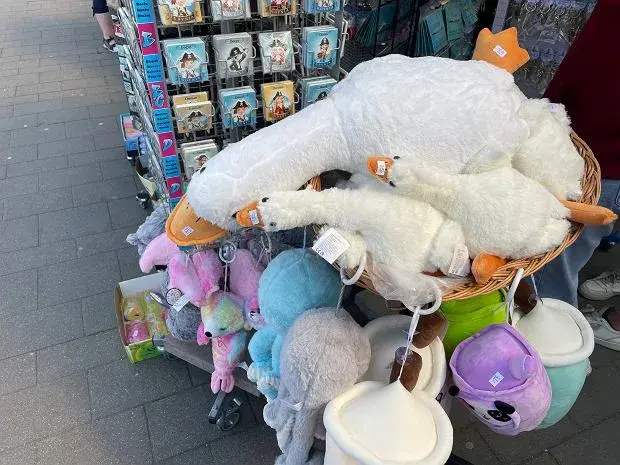 Ile kosztuje pluszowa gęś? Sprawdź ceny i najlepsze oferty