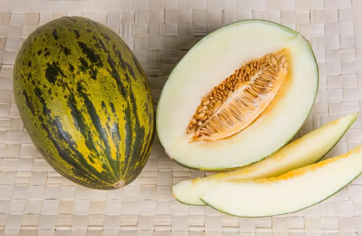 Un intero melone di Borgogna, tagliato a metà e a fette, mostra la sua polpa chiara e i semi dorati.