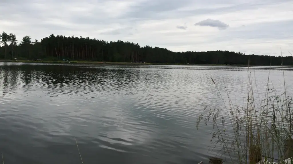 Łowisko Jagodno: idealne miejsce na spokojne wędkowanie i relaks