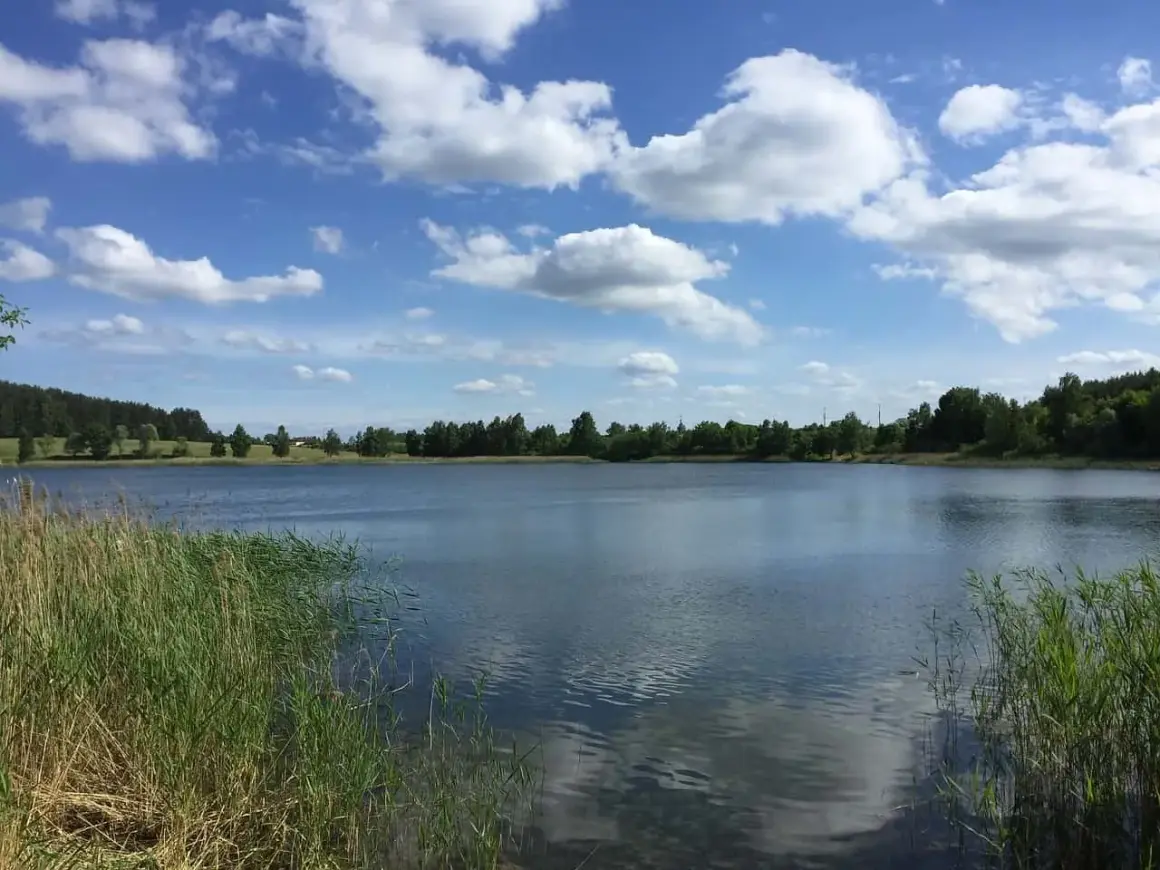 Spokojne jezioro Czarna Hańcza otoczone zielenią, z puszystymi chmurami na błękitnym niebie.