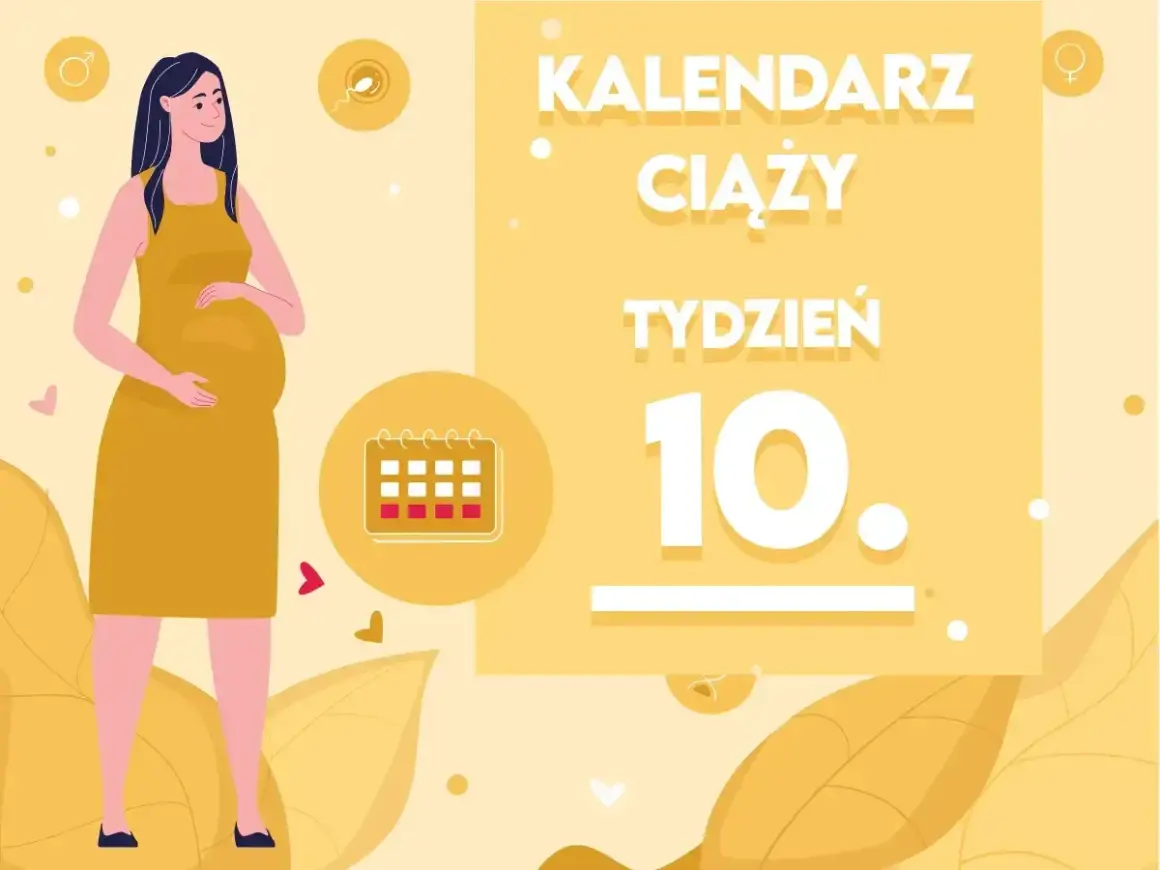 Kobieta w 10 tygodniu ciąży, z widocznym brzuszkiem, czuje się dobrze. Kalendarz ciąży wskazuje 10. tydzień.