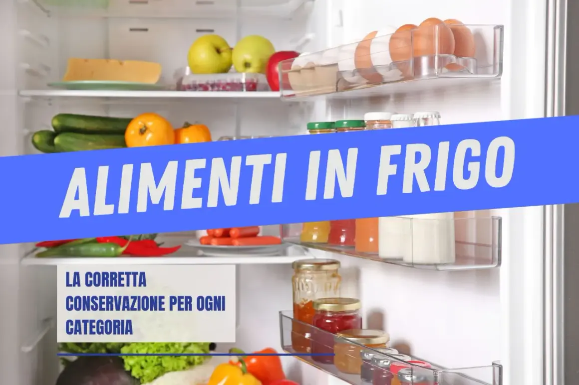 Frigorifero pieno di ortofrutticoli, uova e formaggio. Scopri a quale temperatura vanno conservati i prodotti ortofrutticoli per mantenerli freschi.