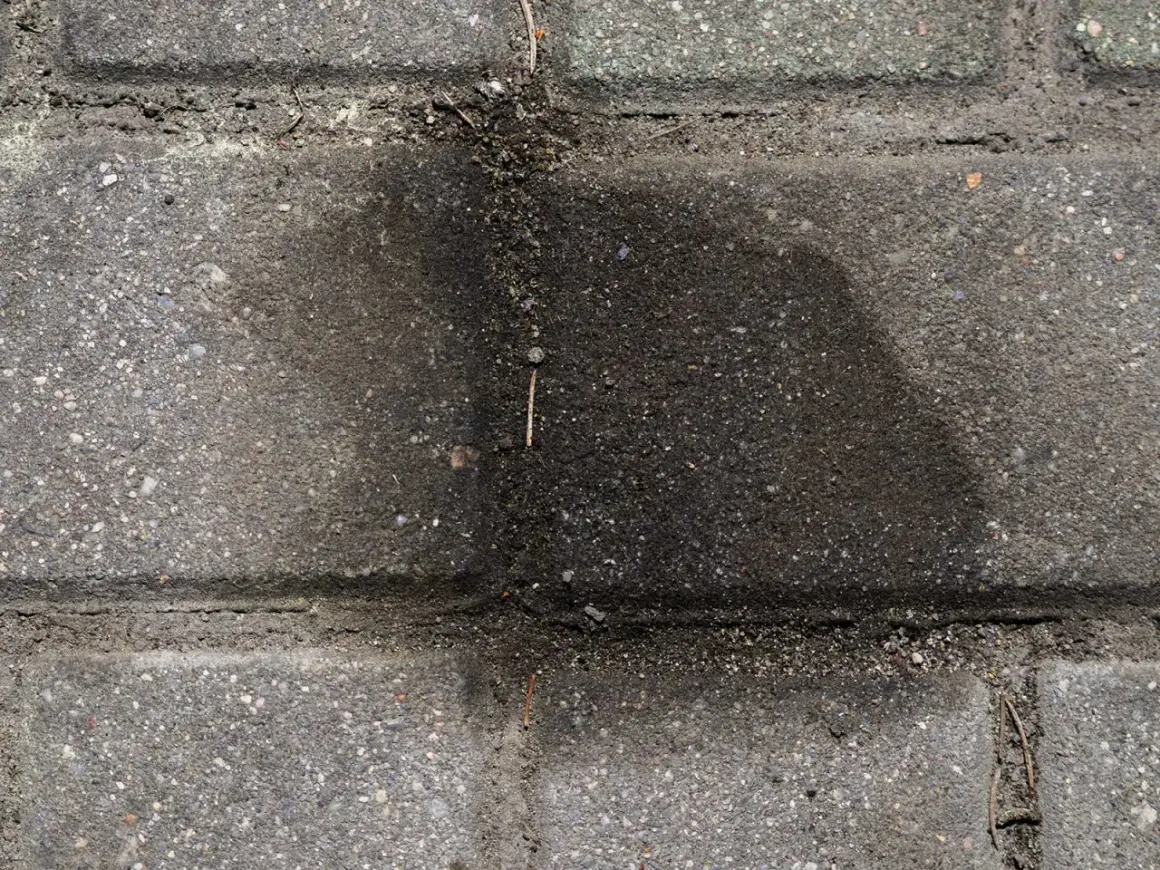 Stare plamy z oleju na kostce brukowej tworzą ciemny, rozlany kształt.