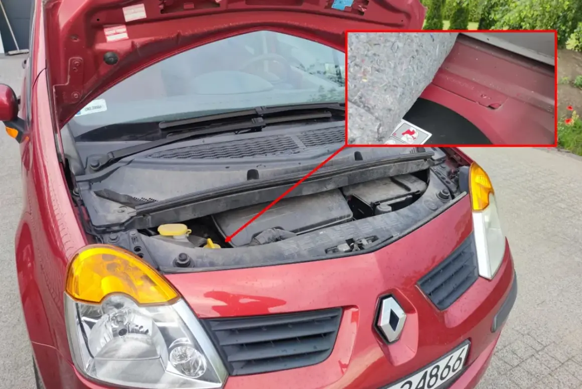 Czerwony samochód z otwartą maską. W powiększonym kadrze widoczny numer VIN na szybie.